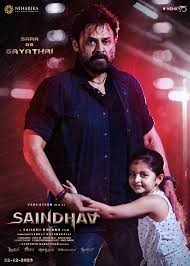 Saindhav (2024)