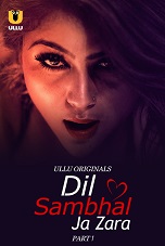 Dil Sambhal Ja Zara Season 1 Part 1 (2024)