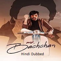 Mr Bachchan (2024)